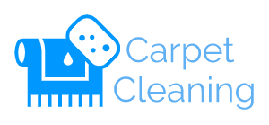 Carpet cleaning tampa